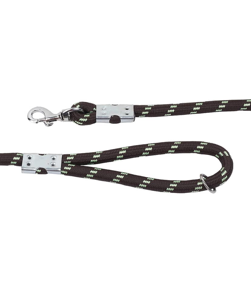 GNS PETS Fluorescent Pink Leash ( Medium ) view 2