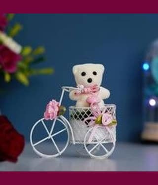 eCraftIndia Pink & White Cycle With Teddy Bear & Rose Petals Gift Box