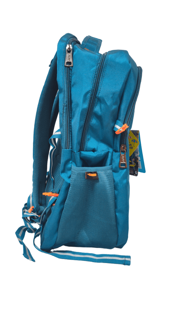 Lightweight and Durable School Backpack with Multiple Compartments and Adjustable Straps view 3