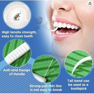 (Pack of 10) Dental Toothpick Flossers Toothpick Cleaners for Oral Care view 2