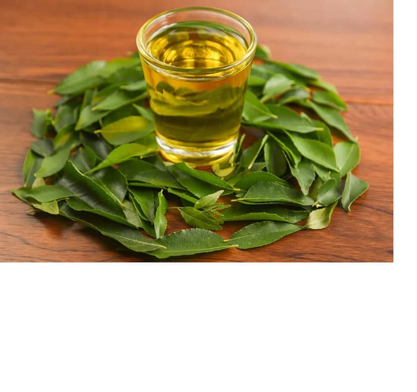 Organic Curry Leaf Essential Oil |100% Pure, Natural & Undiluted Oil for Skin Care, Hair Care & Use in Aromatheraphy view 4