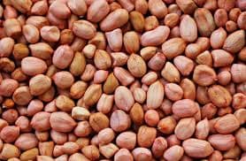 Groundnut 100g view 2