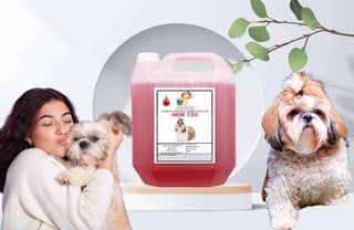 SWACCH Shampoo Specially FORMULATED for Shih TZU (10 Litre) Strawberry