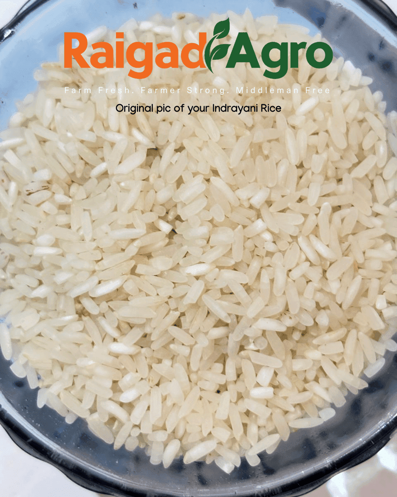 Indryani Rice Semi Polish (pack of 3) view 3