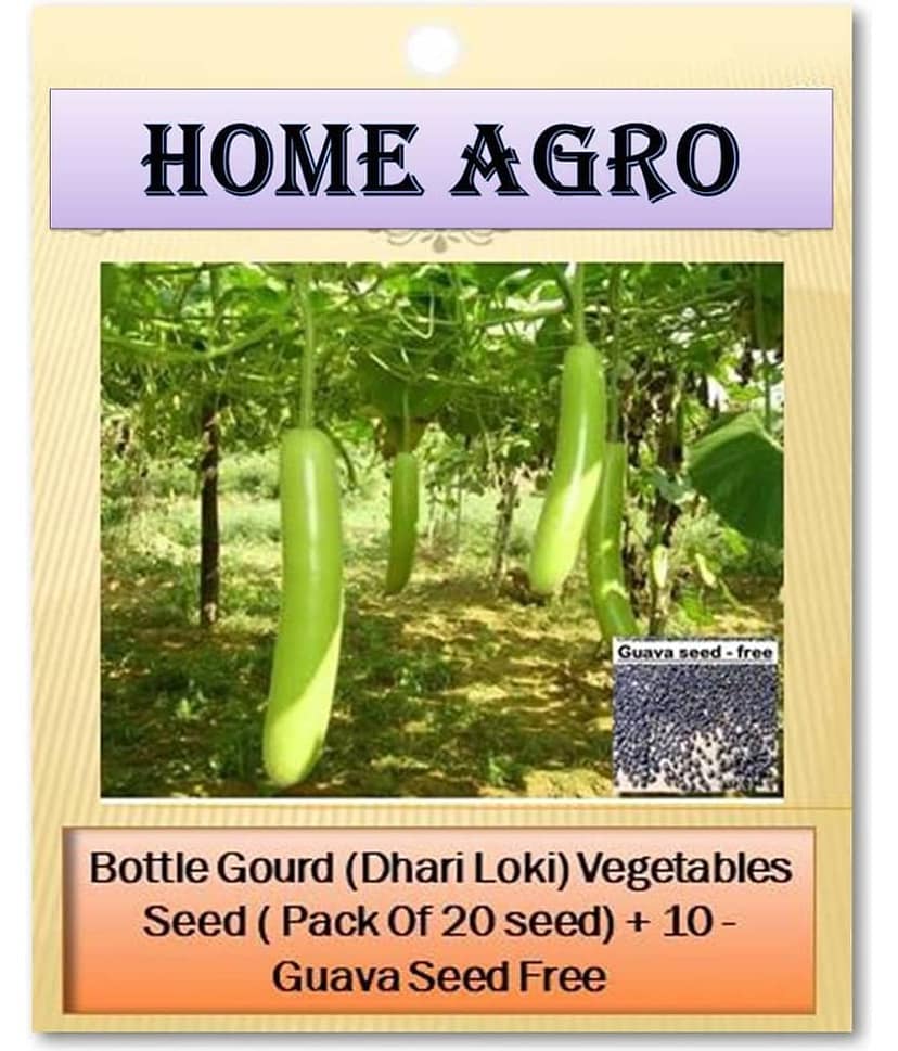 homeagro - Vegetable Seeds ( 20 )