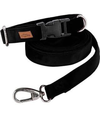 NUEVOS DOGGADIL - Black Collar ( X-Small )