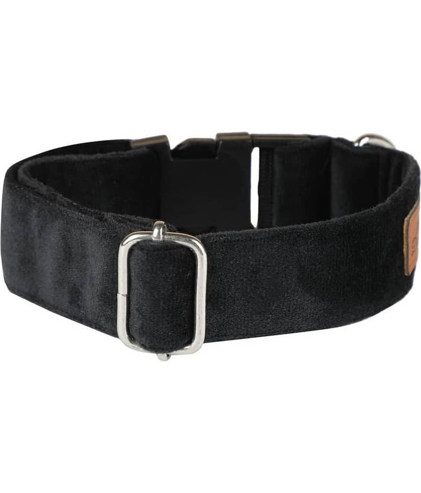 NUEVOS DOGGADIL - Black Collar ( X-Small ) view 2