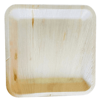 Areca Palm Leaf Plates | Disposable & Eco-Friendly | 10 Inches | Pack of 100