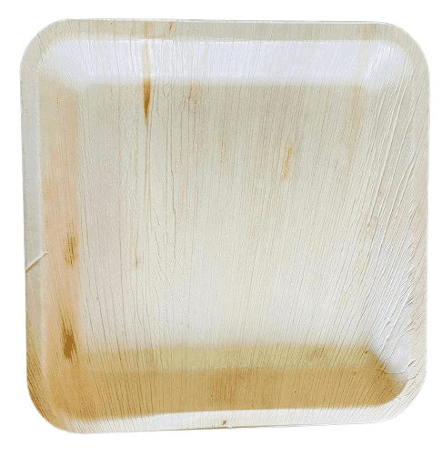 Areca Palm Leaf Plates | Disposable & Eco-Friendly | 10 Inches | Pack of 100