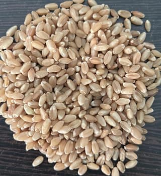 Wheat Loose | Gehun Sabut | 1 kg