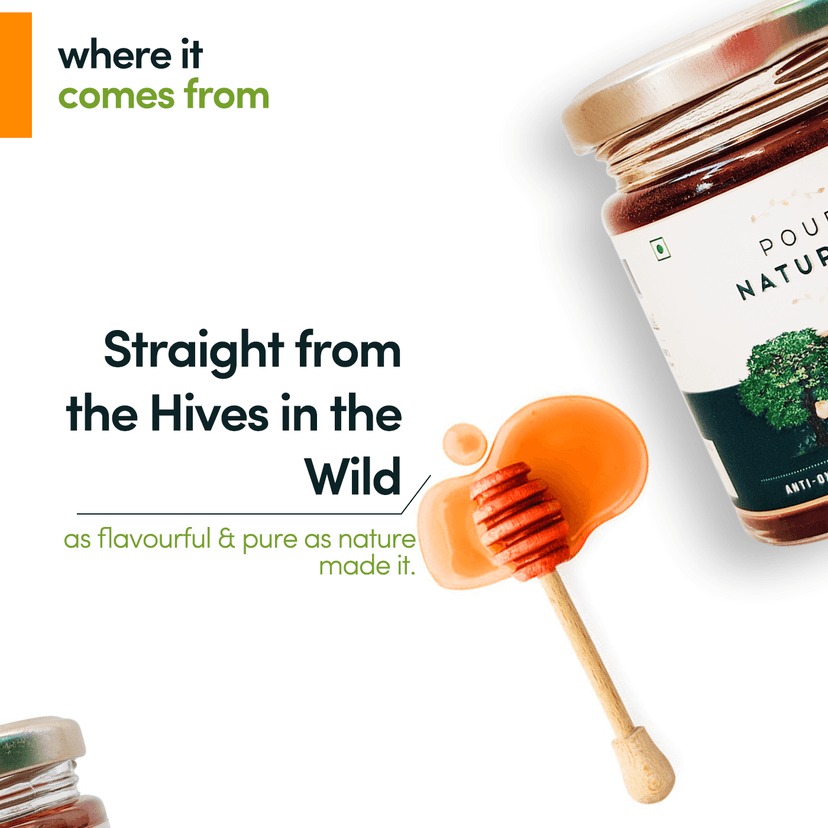 Pour Naturale Honey: Forest Honey| Pure and Natural Honey| Helps build immunity| High antibiotic and anti-inflammatory properties| Glass Jar (250gm) view 3