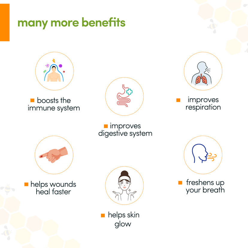 Pour Naturale Honey: Forest Honey| Pure and Natural Honey| Helps build immunity| High antibiotic and anti-inflammatory properties| Glass Jar (250gm) view 4