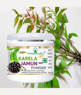 Yogaguru Mantr Organics Powder 200 Gm