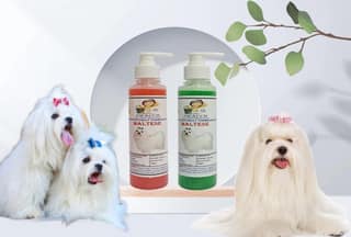 SWACCH Premium Shampoo for Maltese (200ML) (Combo Pack of 2) Strawberry & NEEM ALOVERA