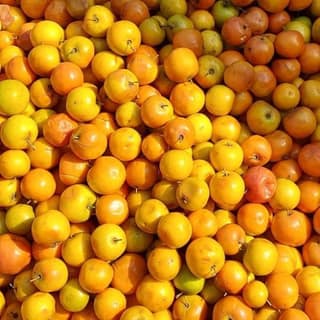 Small Bogori - 1 kg