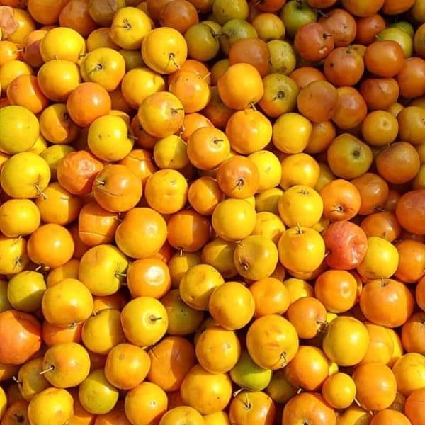 Small Bogori - 1 kg