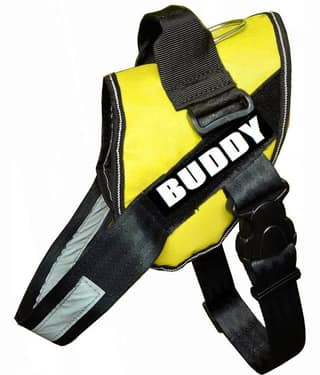 Petshop7 Yellow Harness ( X-Large )