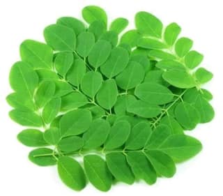 Moringa Leaves - Shevga Patta - Approx 250gm
