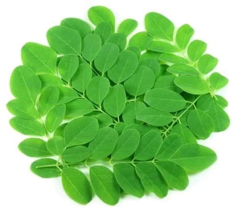 Moringa Leaves - Shevga Patta - Approx 250gm