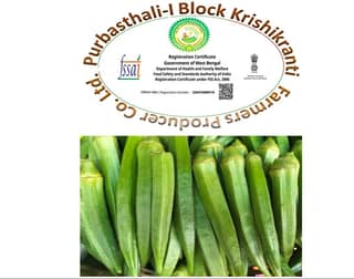 Okra/Lady finger (Bhindi)