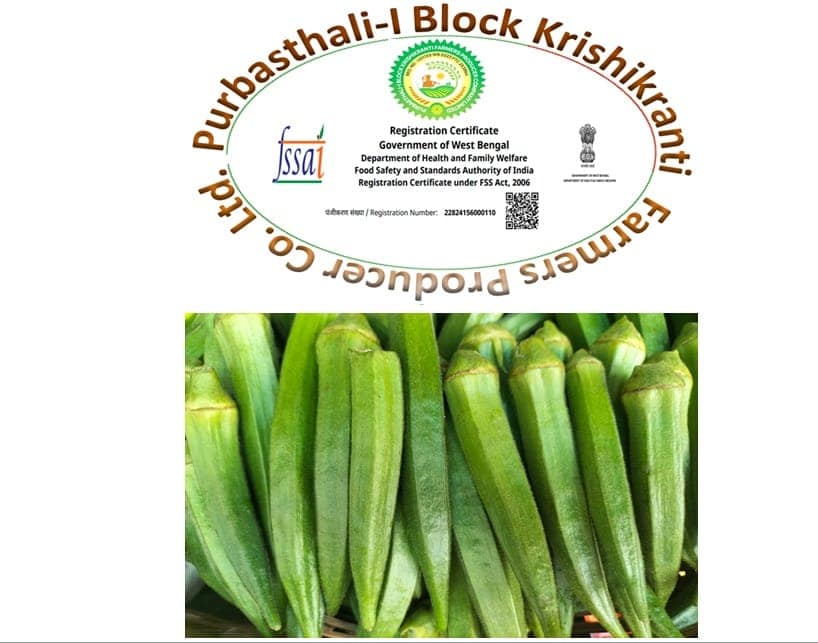 Okra/Lady finger (Bhindi)
