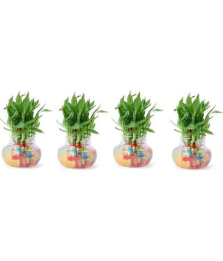 Green plant indoor - Green Wild Artificial Flowers With Pot ( Pack of 4 )