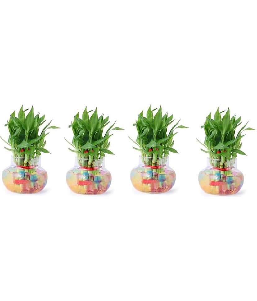 Green plant indoor - Green Wild Artificial Flowers With Pot ( Pack of 4 )