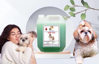 SWACCH Shampoo Specially FORMULATED for Shih TZU (10 Litre) NEEM ALOVERA