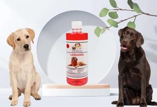 SWACCH Shampoo Specially FORMULATED for Labrador (500ML) Jasmine