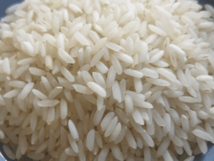 Mansoori RICE view 2