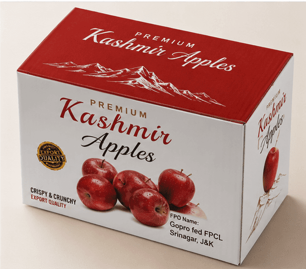Kashmir Premium Red Apple