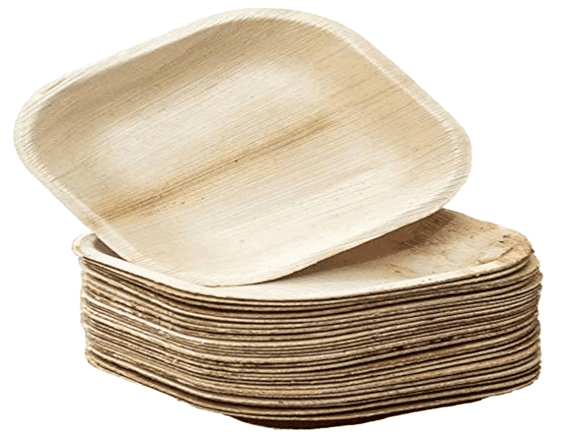 Areca Leaf Plates | Disposable Plates | Eco-Friendly Plates | 10 Inches Square | Pack of 50 view 2