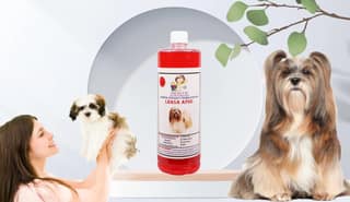 Swacch Shampoo Specially Formulated for Lhasa APSO (1 Litre) Jasmine