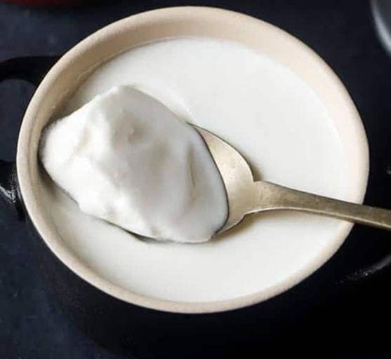 Plain Dahi