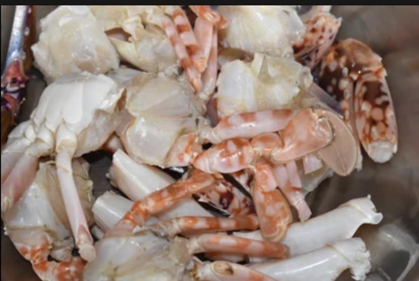 Red Sea Crabs-Whole Cleaned - 250gms (After Cleaning) view 2