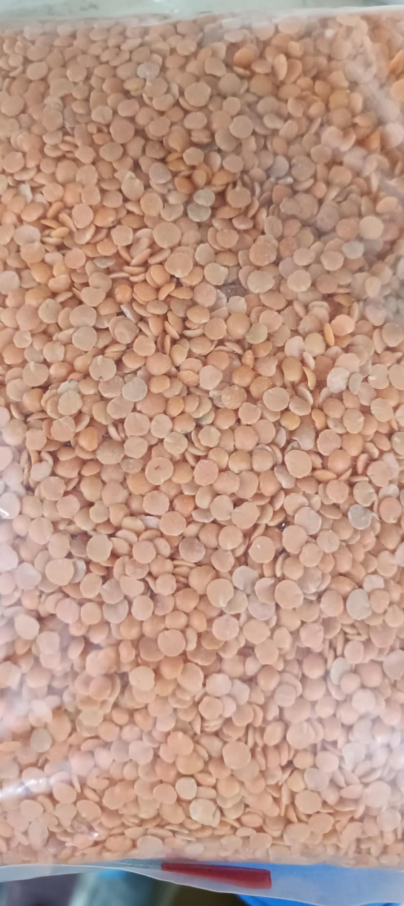 Red dal