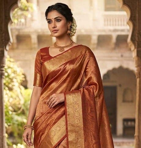 Tissue Saree view 4