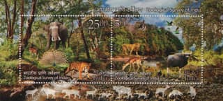 Shobhaphila's 2015 Zoological Survey of India Miniature Sheet( 3rd Dec 2015)