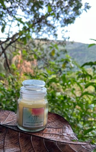 Hygge Amber Scented Soy Wax Candle