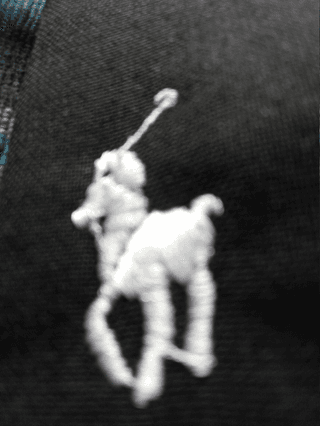 Polo logo