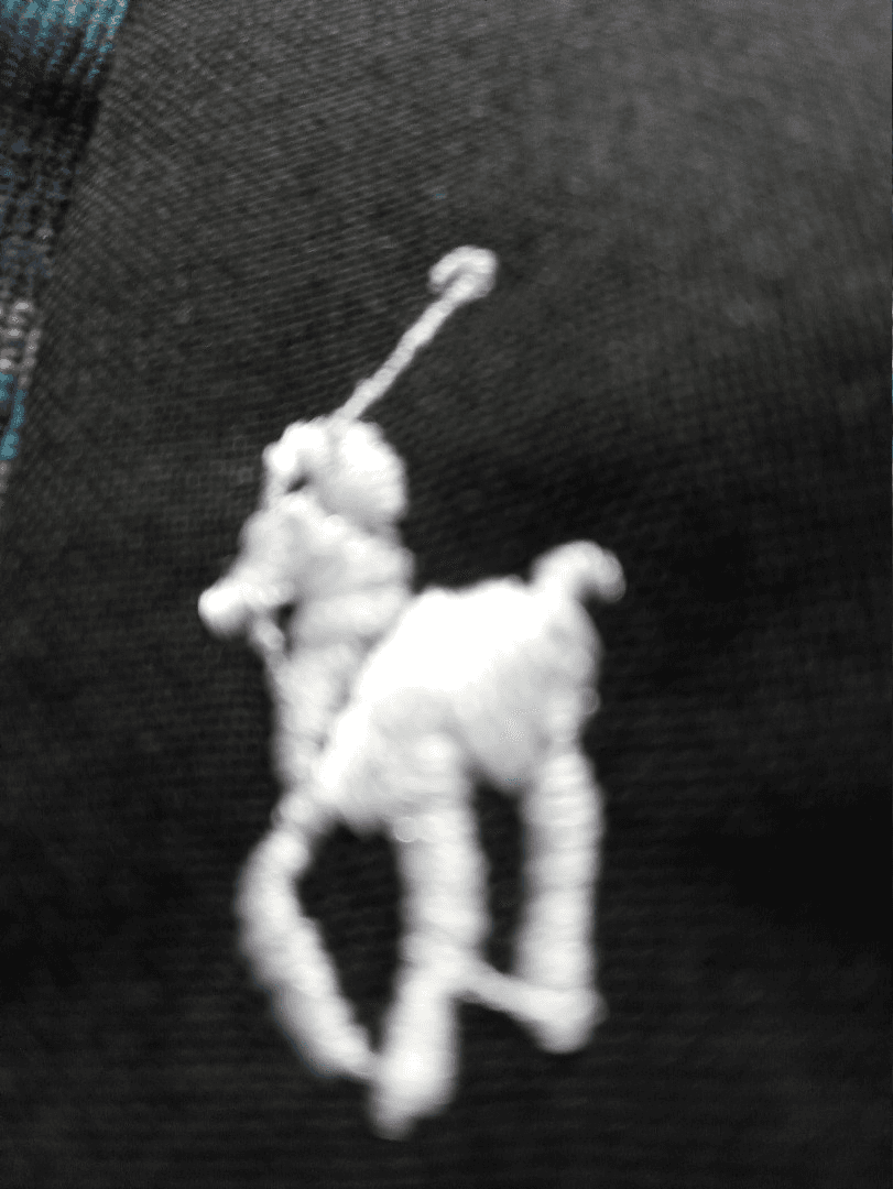 Polo logo