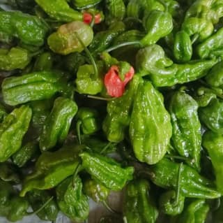 King Chili - 1 kg - 1 Pack