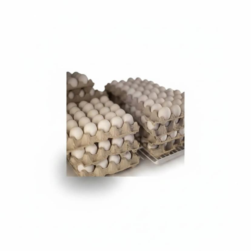 White Eggs - 100 gm - Two egg trays