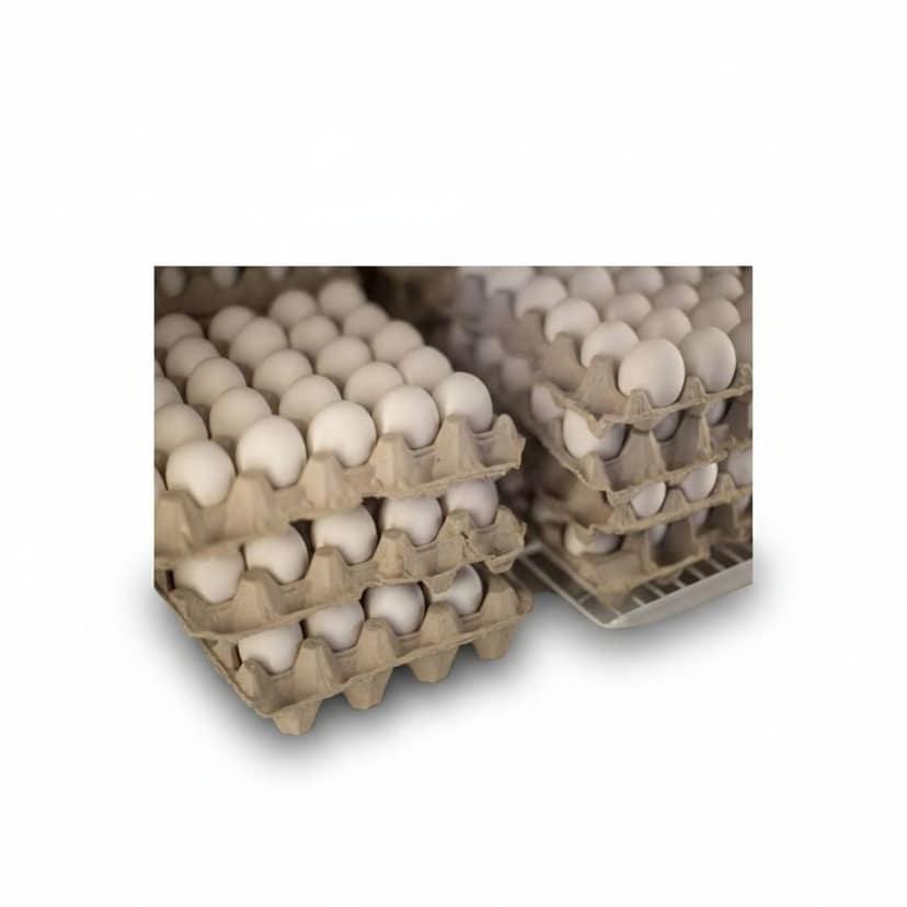 White Eggs - 100 gm - Two egg trays view 4