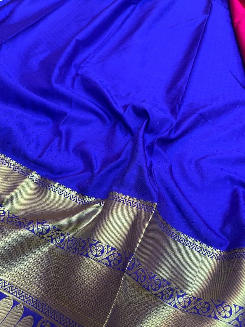 Red Color Long Border Saree with Gold Zari work Contrast Pallu and Plain Bordered Blouse view 4