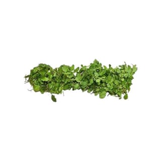 Agrify Fresh Tulsi - String 1 Bunch