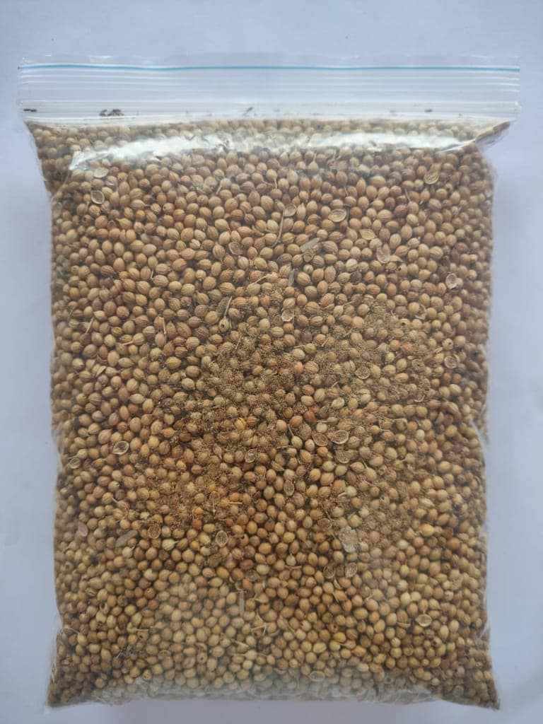 Whole Coriander,Dhaniya view 3
