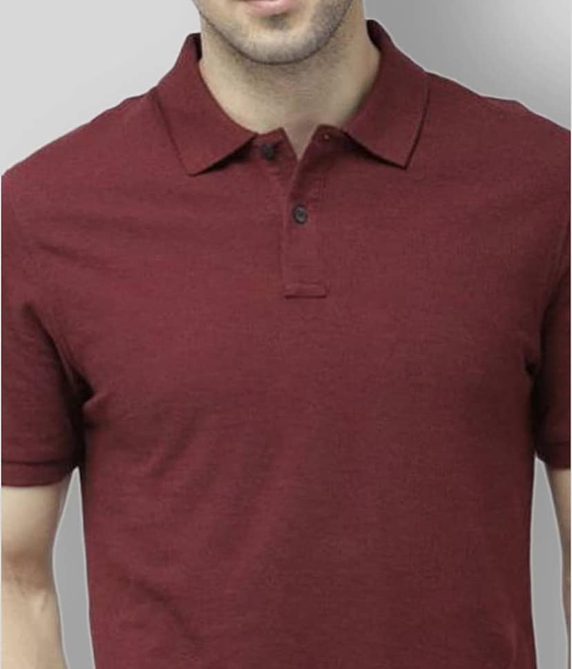 FASHION365 Pack of 1 Cotton Blend Slim Fit Solid Half Sleeves Men's Polo T Shirt ( Maroon ) view 2