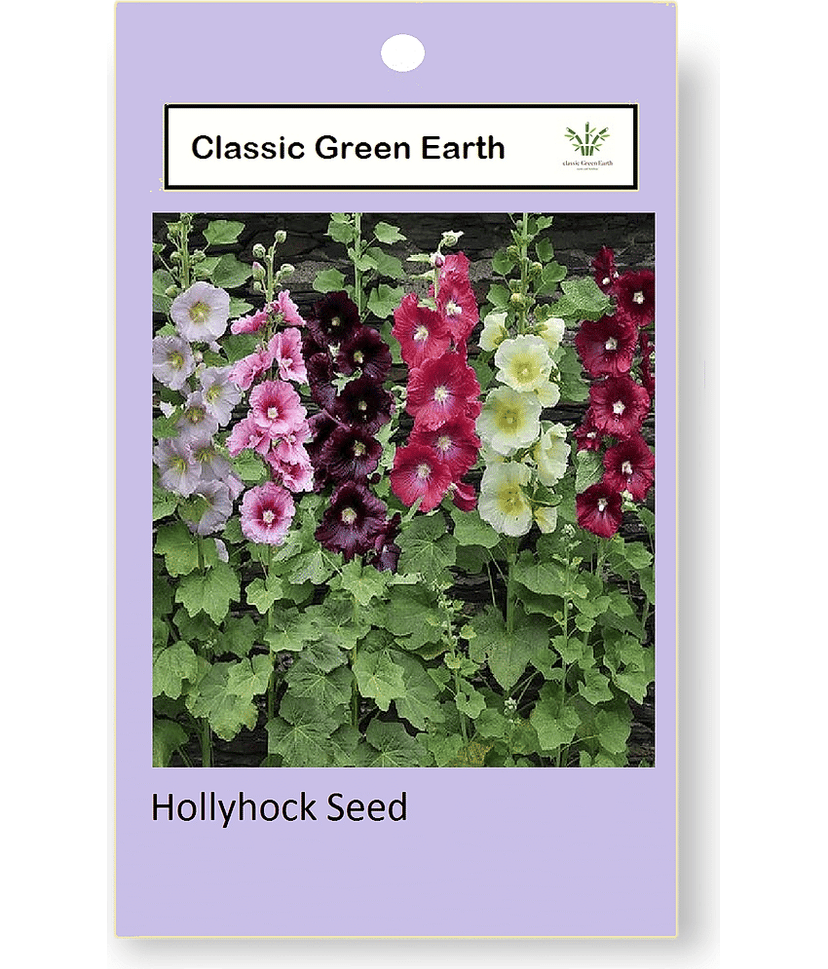 CLASSIC GREEN EARTH - Hollyhock Mixed Flower ( 20 Seeds ) view 2
