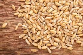 Wheat 1kg view 2